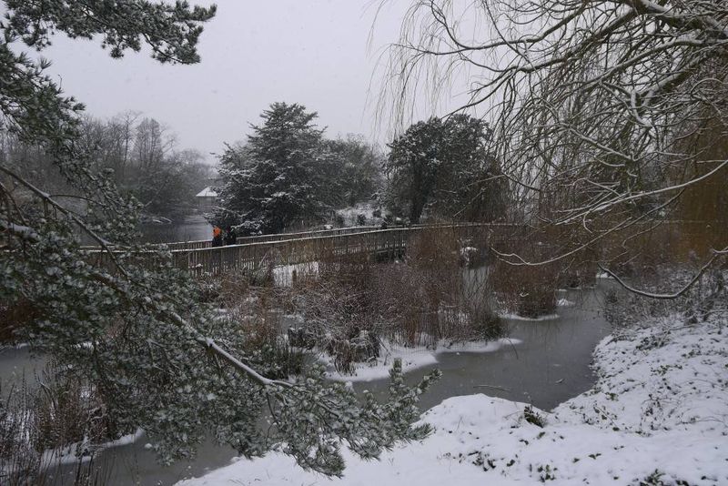 Bridge in the Snow