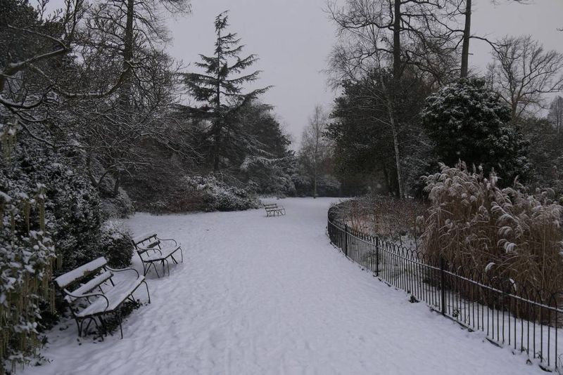 Winter in Dulwich Park