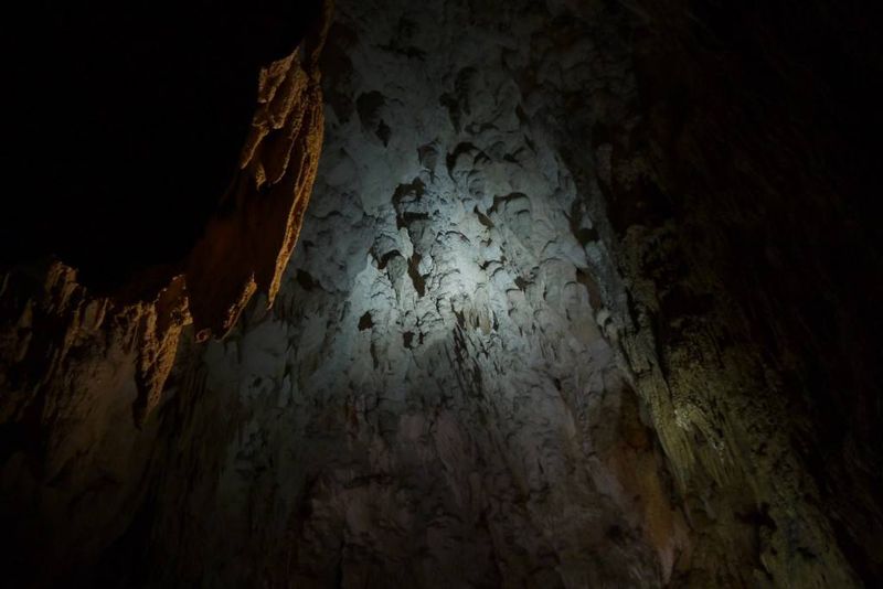 New Zealand Glowworm Caves