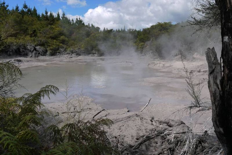Mud Pools, Wai-O-Tapu, New Zealand