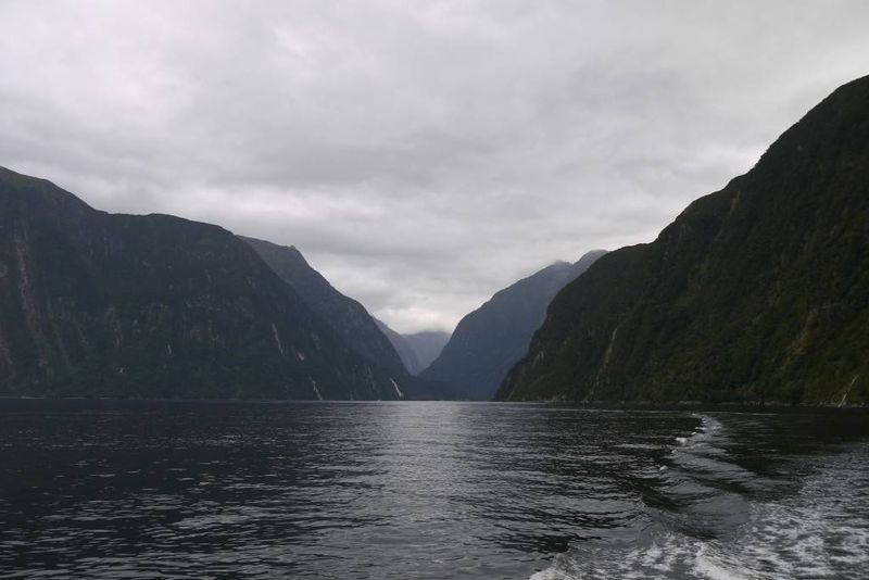 Milford Sound Boat Trip New Zealand