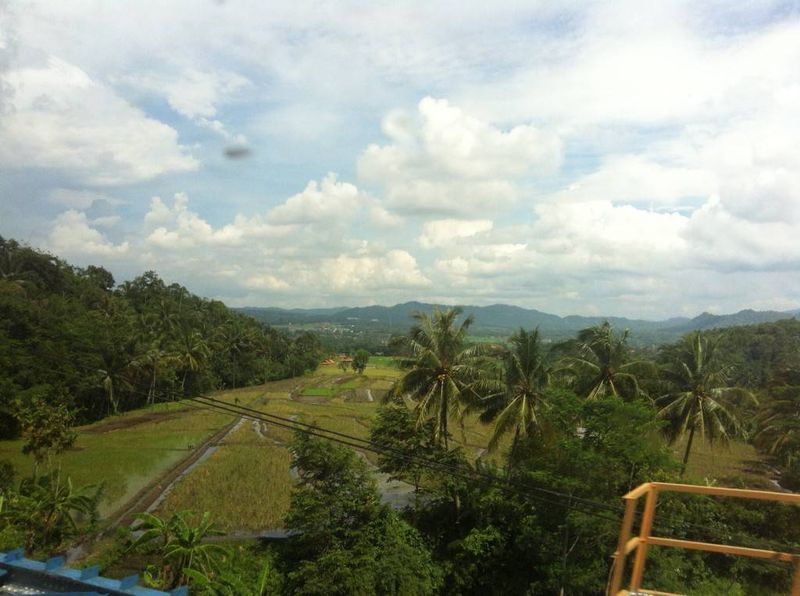 View of Java from the Train Window