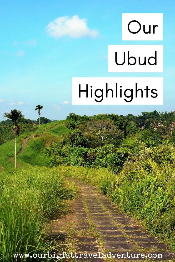Our Ubud Highlights, Pinterest