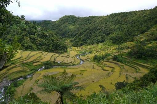 The Banaue Rice Terraces, the Philippines