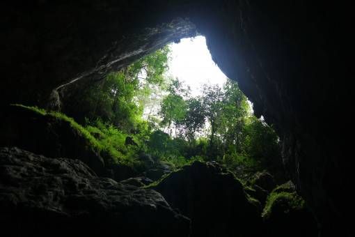 Entrance to Sumaguing Cave, the Philippines