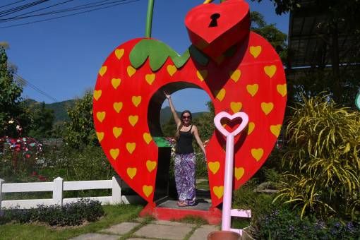 Love Strawberry Pai Statue, Thailand