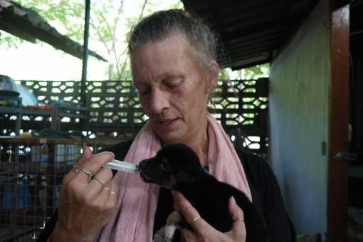 Maggie Hand-Feeding a Puppy at the Dog Rescue Project