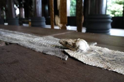 Snake Skin, the Black House Chiang Rai