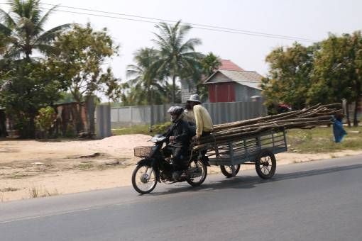 Transporting Wood in Asia