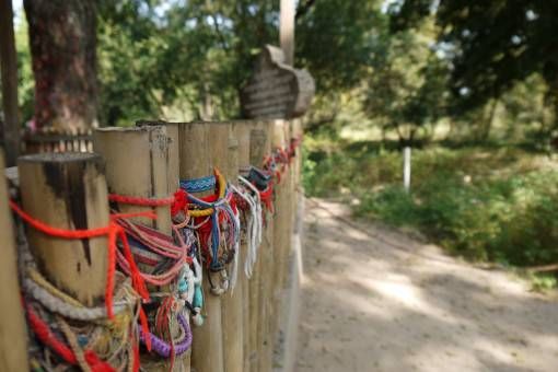 Bracelets at a Mass Grave in the Killing Fields