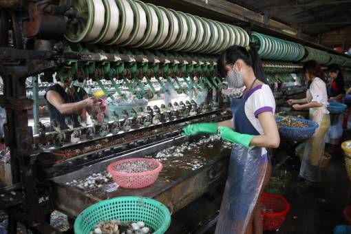 Silk Worm Factory, Dalat Vietnam