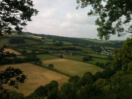 Devonshire countryside