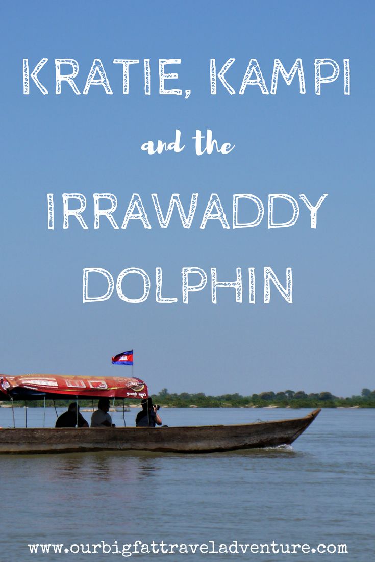 kratie, kampi and the irrawaddy dolphin pinterest pin