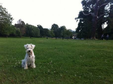 Boo in Crystal Palace Park