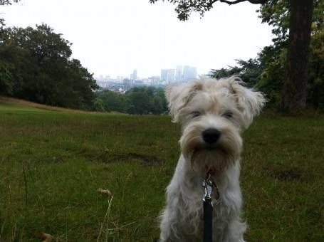 Walking Boo in Greenwich Park