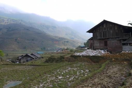 A house and rice fields in Sapa