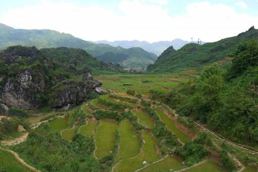 Fields of green rice terraces in Sapa, Vietnam