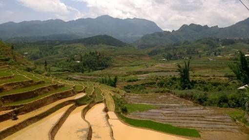 Rice paddies in Sapa, Vietnam