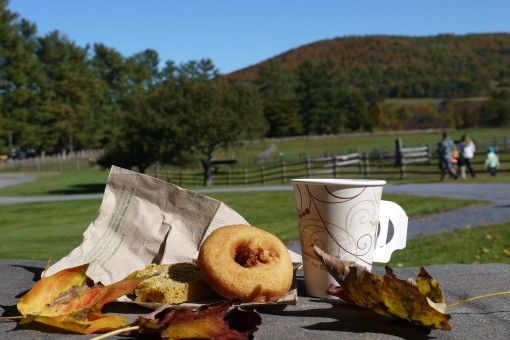 Apple Cider and Donuts at Billings Farm and Museum in Vermont