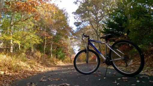 Bicycle on the Cape Cod Bike Trail