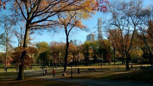 Beautiful autumn leaves in Central Park, New York