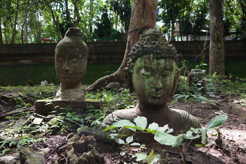 Buddha head statues at Wat Umong Temple in Chiang Mai