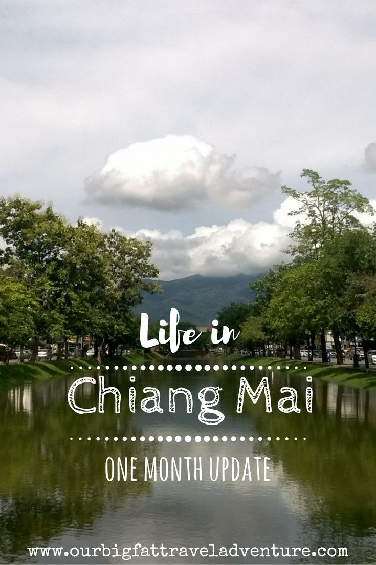 life in chiang mai one month update pinterest pin