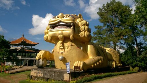 Giant gold lion at Wang Put Tan Tea Plantation in Thailand