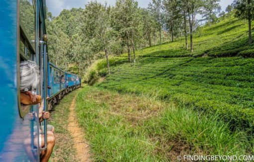10 reasons to visit sri lanka train findingbeyond.com