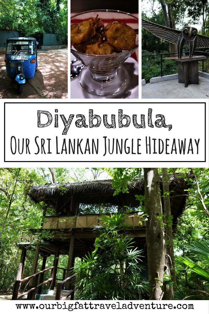 Diyabubula, Our Sri Lankan Jungle Hideaway Pinterest