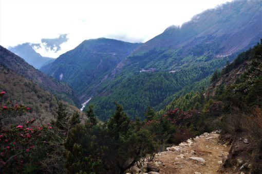 Looking back down the colourful valley from Tengboche