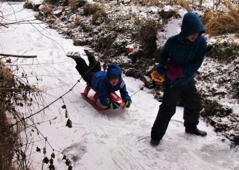 Alyson's boys playing in the snow