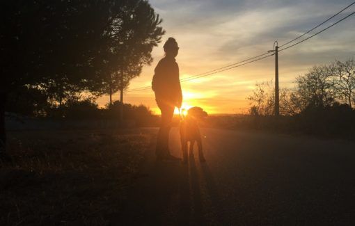 Amy walking the dog at sunset