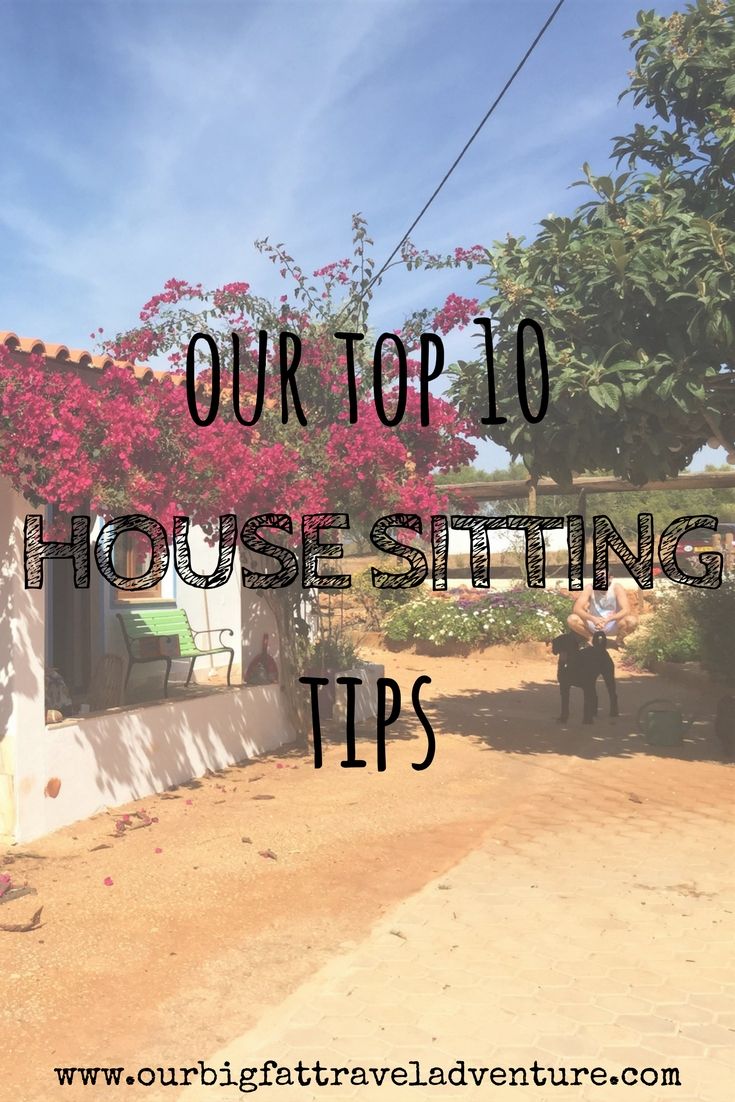 Want to get get free accommodation, explore new places and look after cute pets? Find out how to get a perfect house sit with these top house sitting tips.