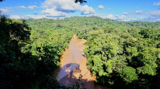 View of the Amazon rainforest and a river running through it near Rurrenabaque in Bolivia