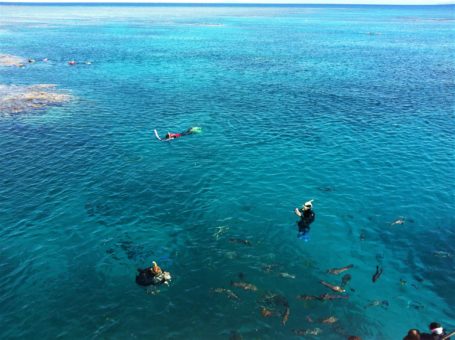 Snorkelling on the Great Barrier Reef, Australia