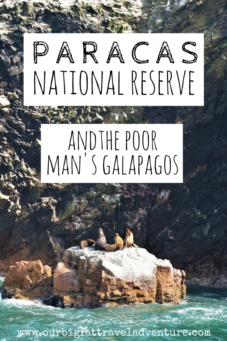 paracas national reserve and the poor man's galapagos