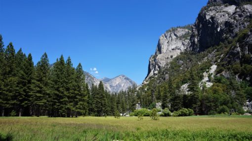 Zumwalt Meadow, Sequoia National Park, California