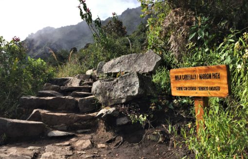 The narrow path up Machu Picchu Mountain