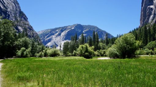 Green meadow with granite dome behind in Yosemite National Park, California