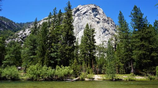 Granite rocks, trees and river in Kings Canyon National Park in California