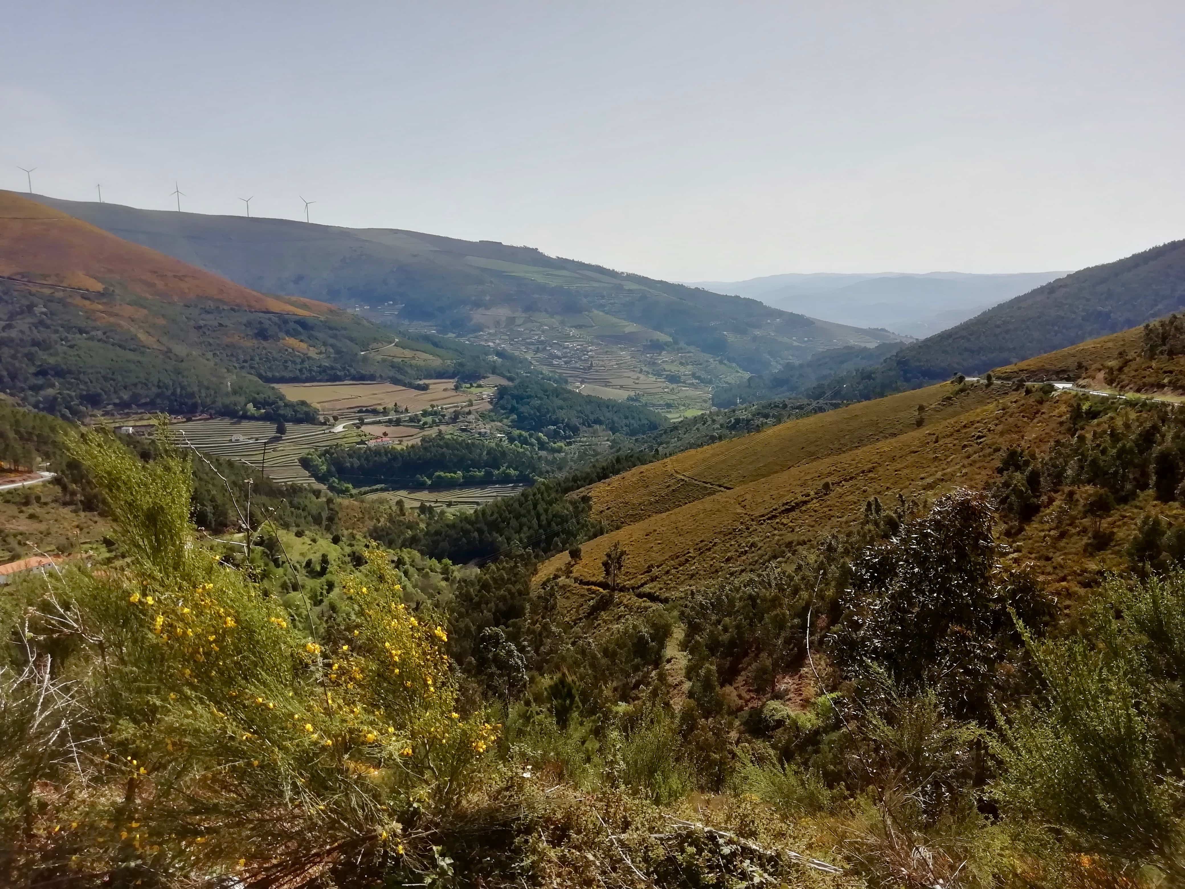 Countryside views while driving the Douro Valley