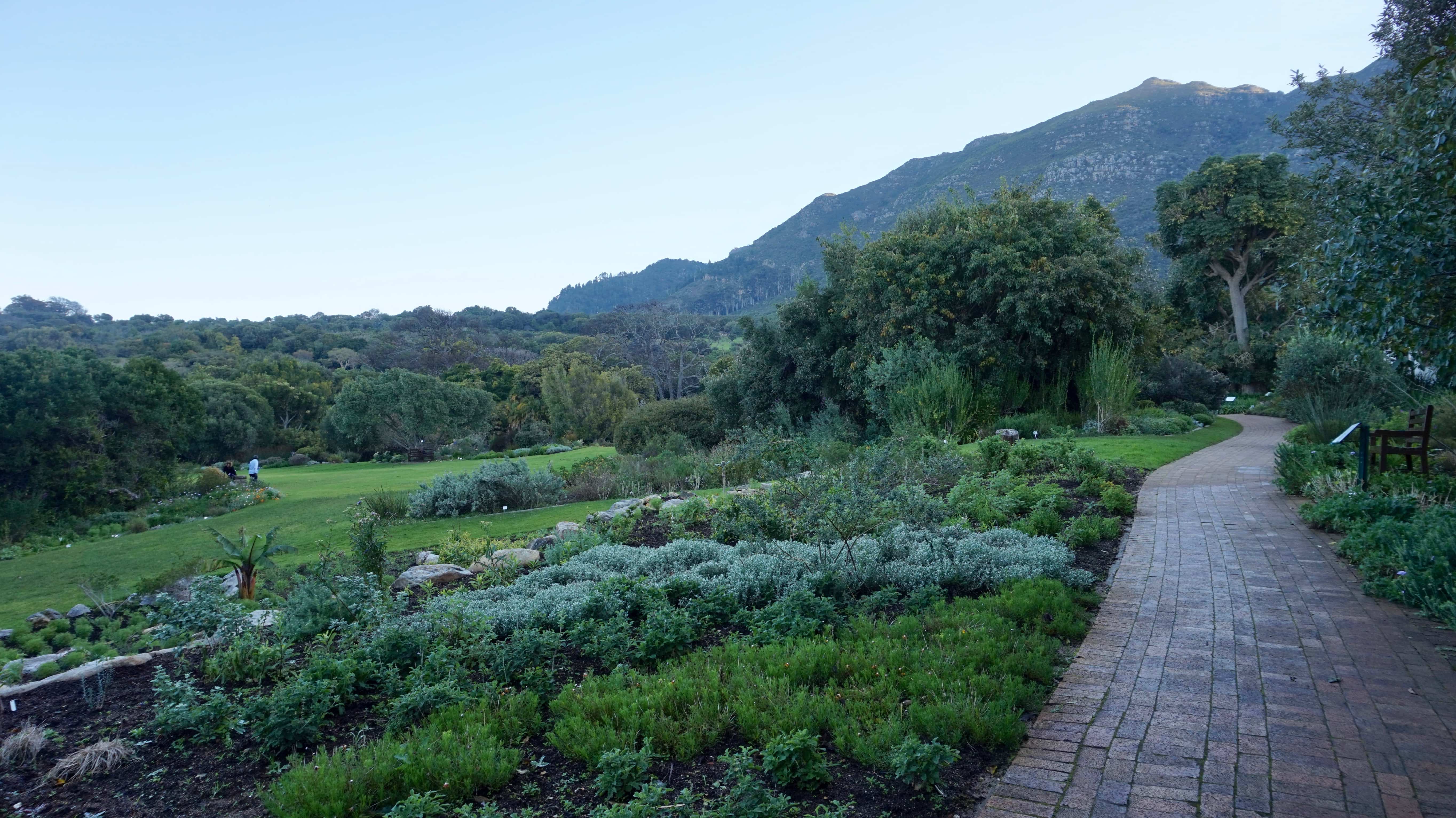 Kirstenbosch Botanical Gardens, Cape Town 