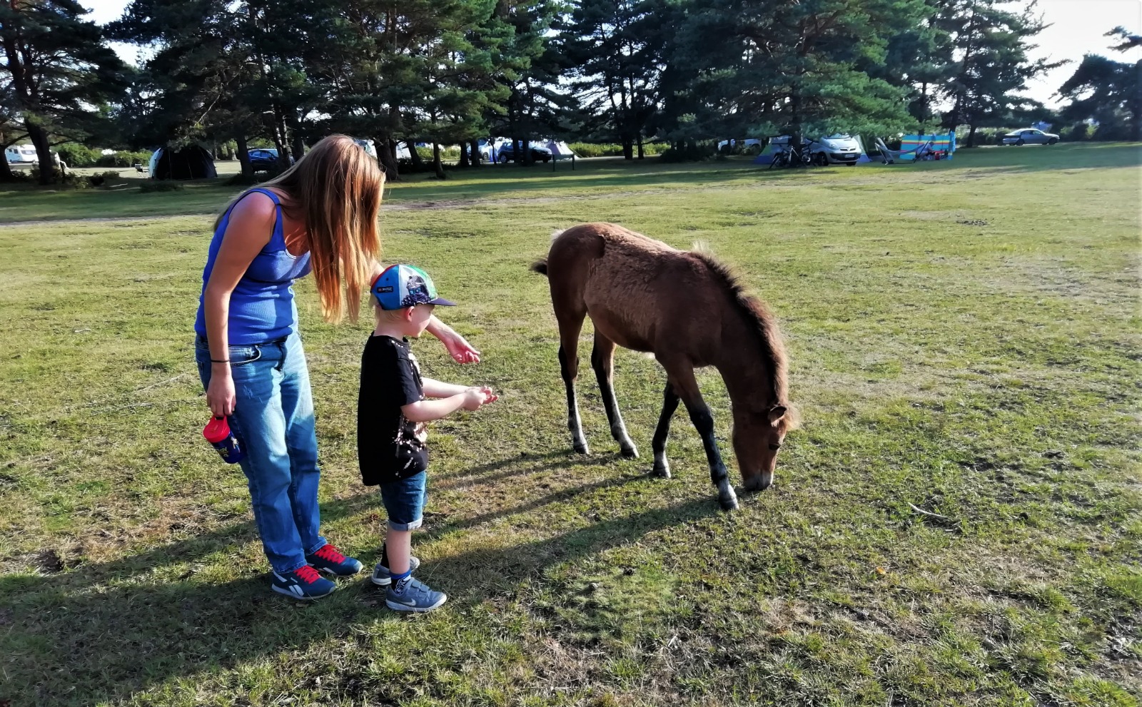 Amy and her nephew with a New Forest Pony