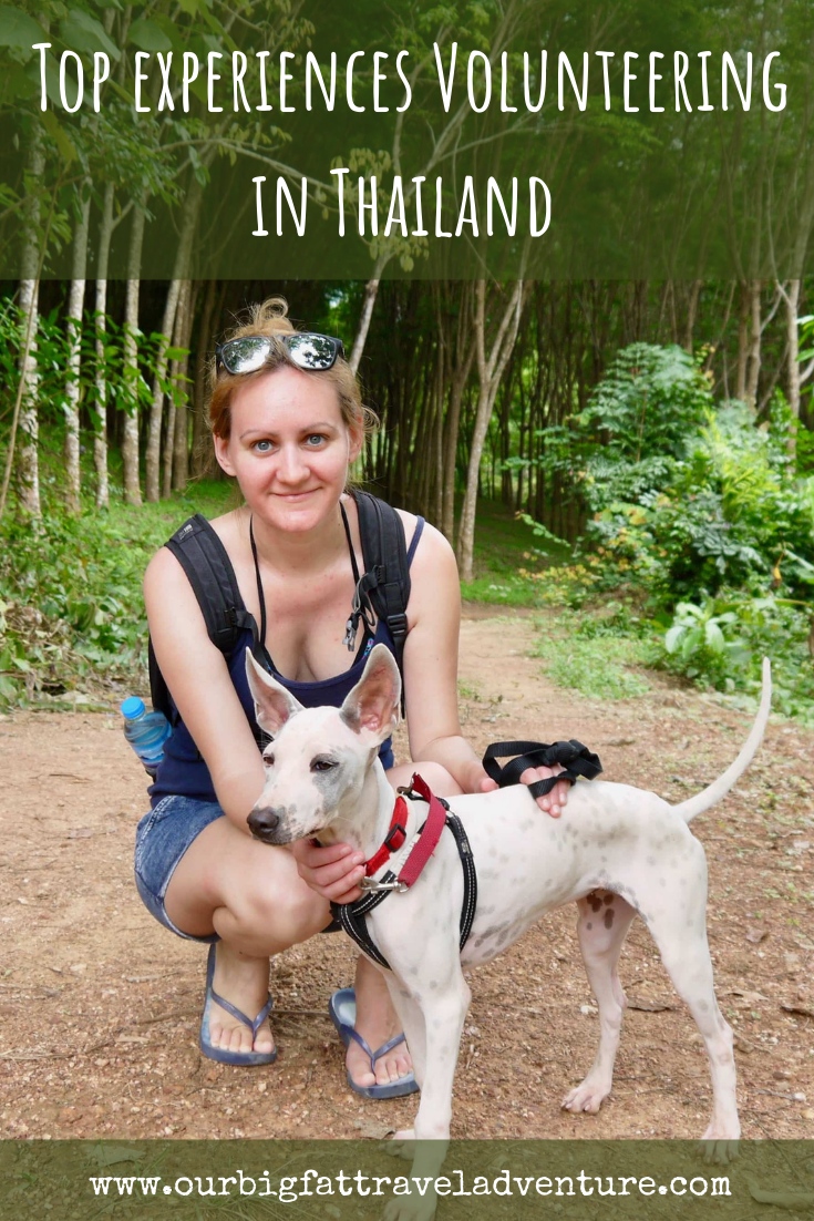 Top volunteering in Thailand experiences - Pinterest Pin 