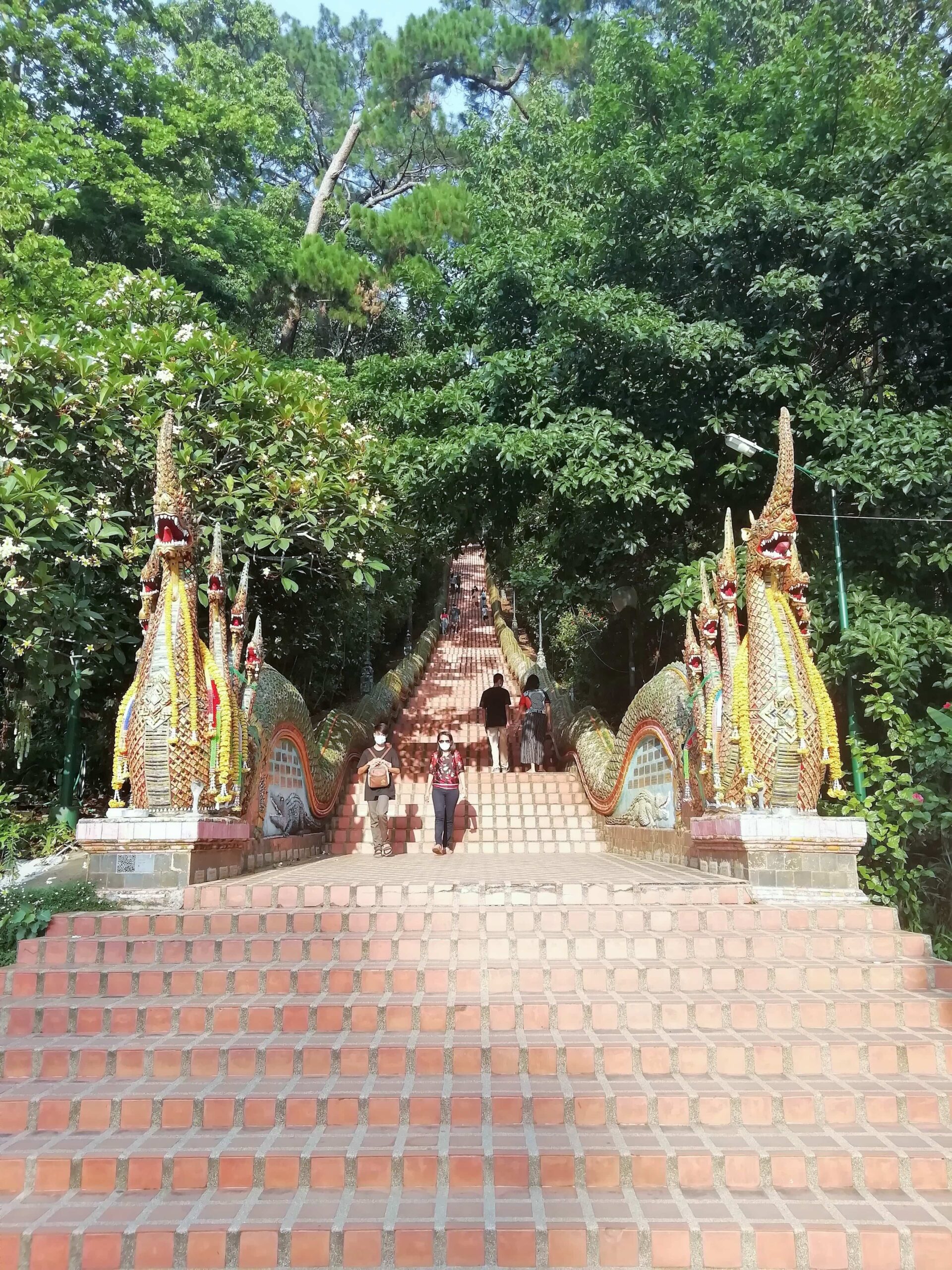 Dragon steps leading to Doi Suthep, Chiang Mai