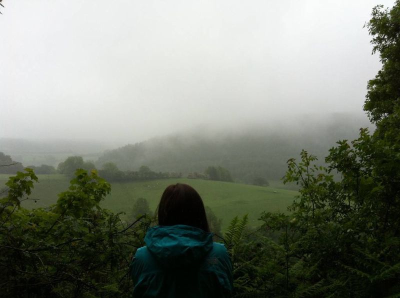 Amy's View of Brechfa Forest, Wales