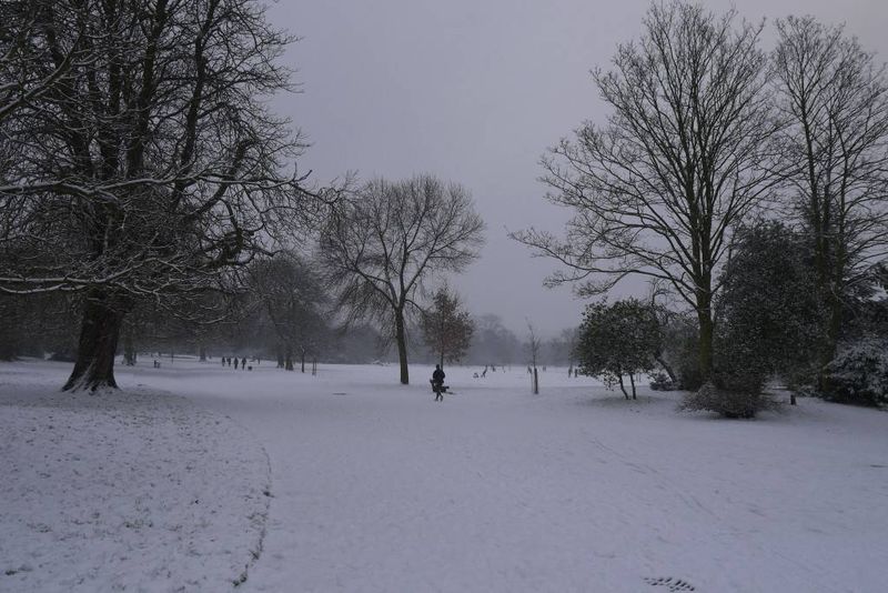 Dulwich Park in the Snow