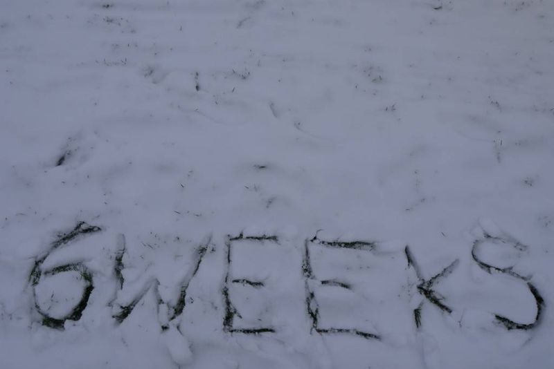 '6 Weeks' Written in the Snow