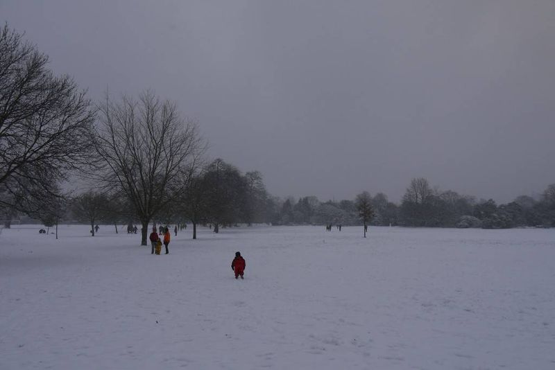 Children Playing in Snowy Dulwich Park